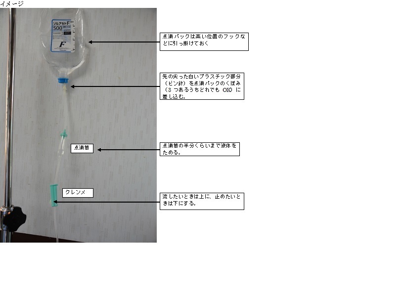 自宅でペットに皮下点滴をする際の準備 動物病院と果樹栽培と